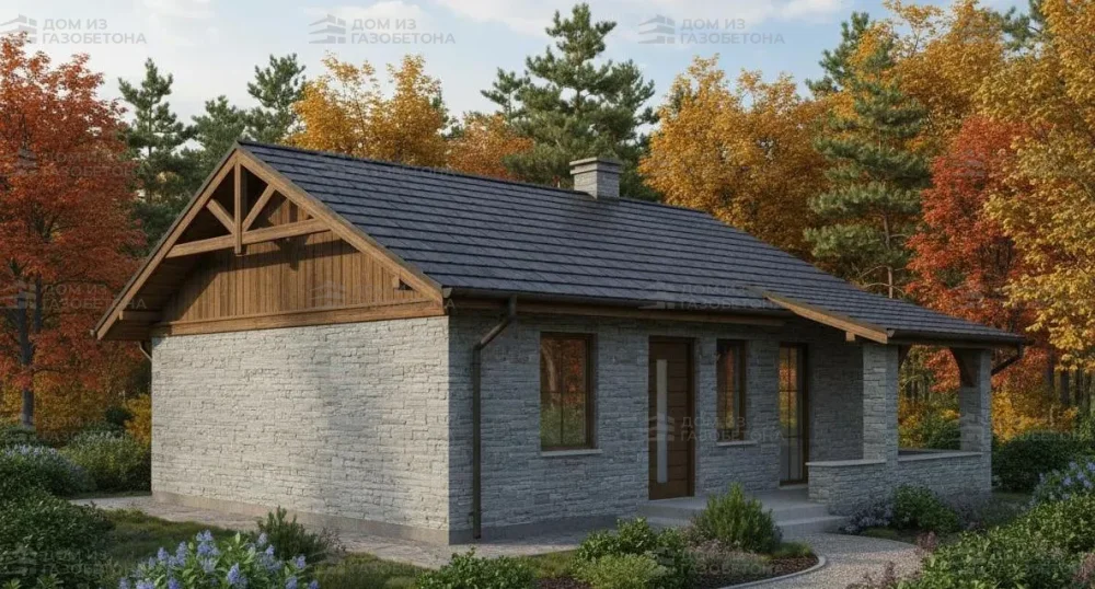 Проект Одноэтажный дом 8 на 10, 46 м2